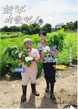 免费观看电影 奔跑吧